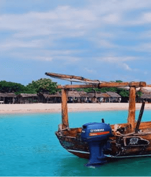 blue centre for maritime safety and security in Tanzania